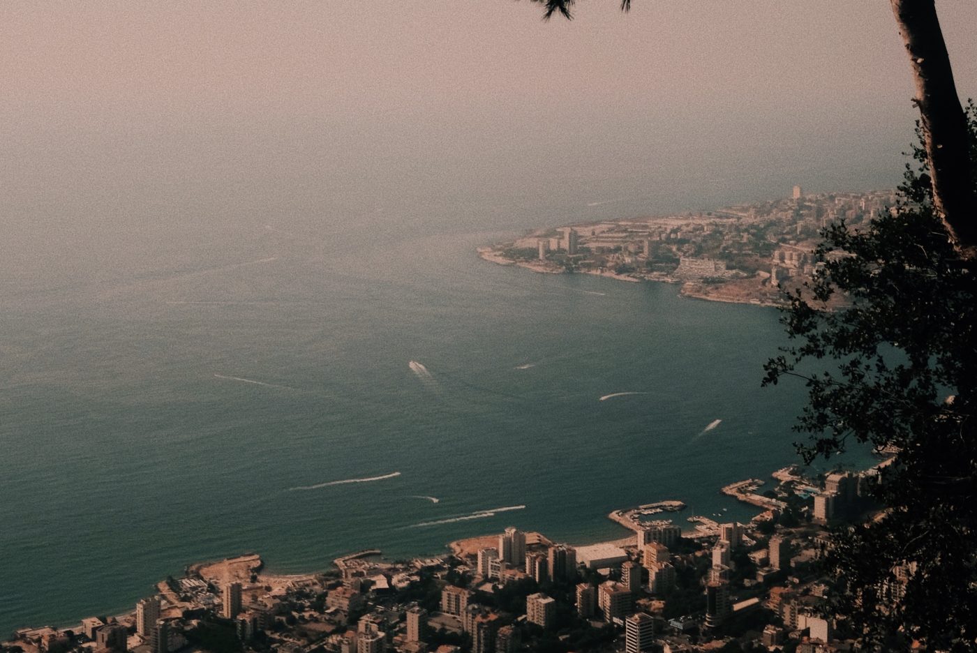 Image for Snapshot of Hope: Flowers of Lebanon