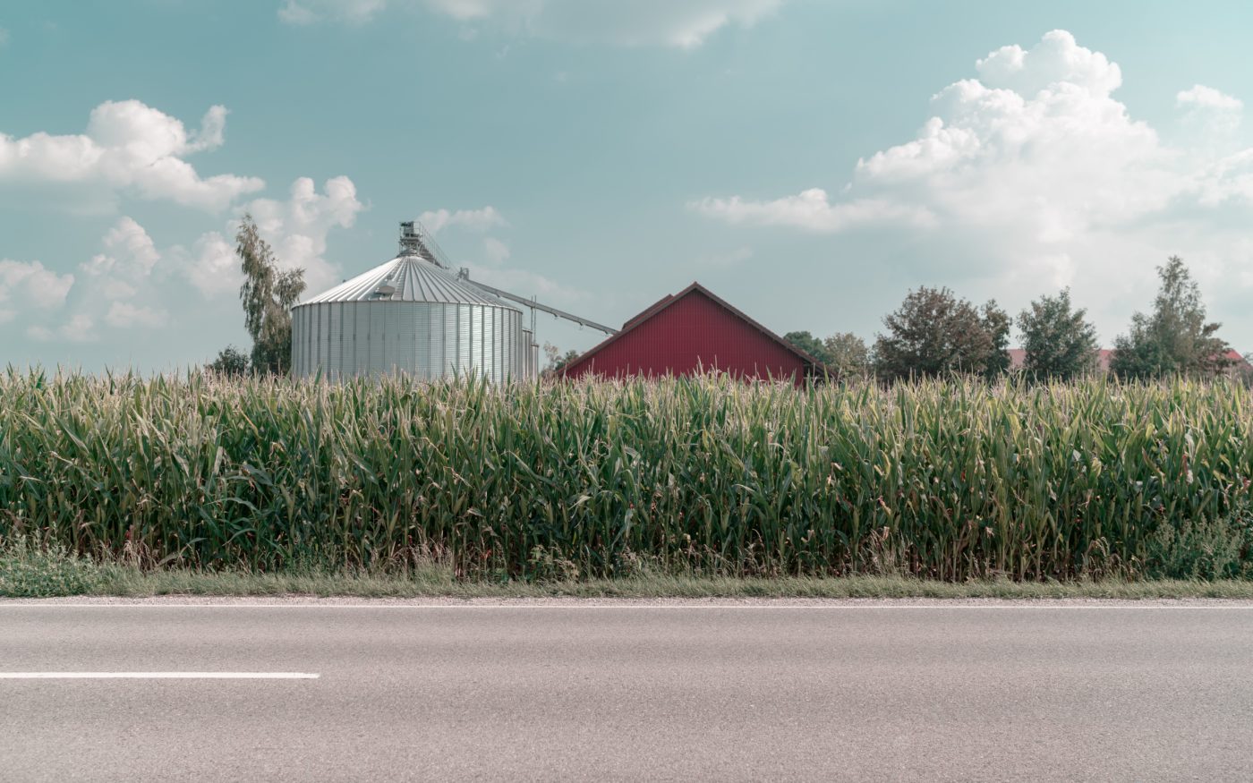 Image for The Iowa Caucus Delay: A Portrait of Theological Progressivism