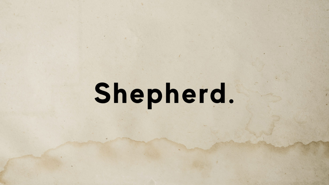 Image for Shepherd