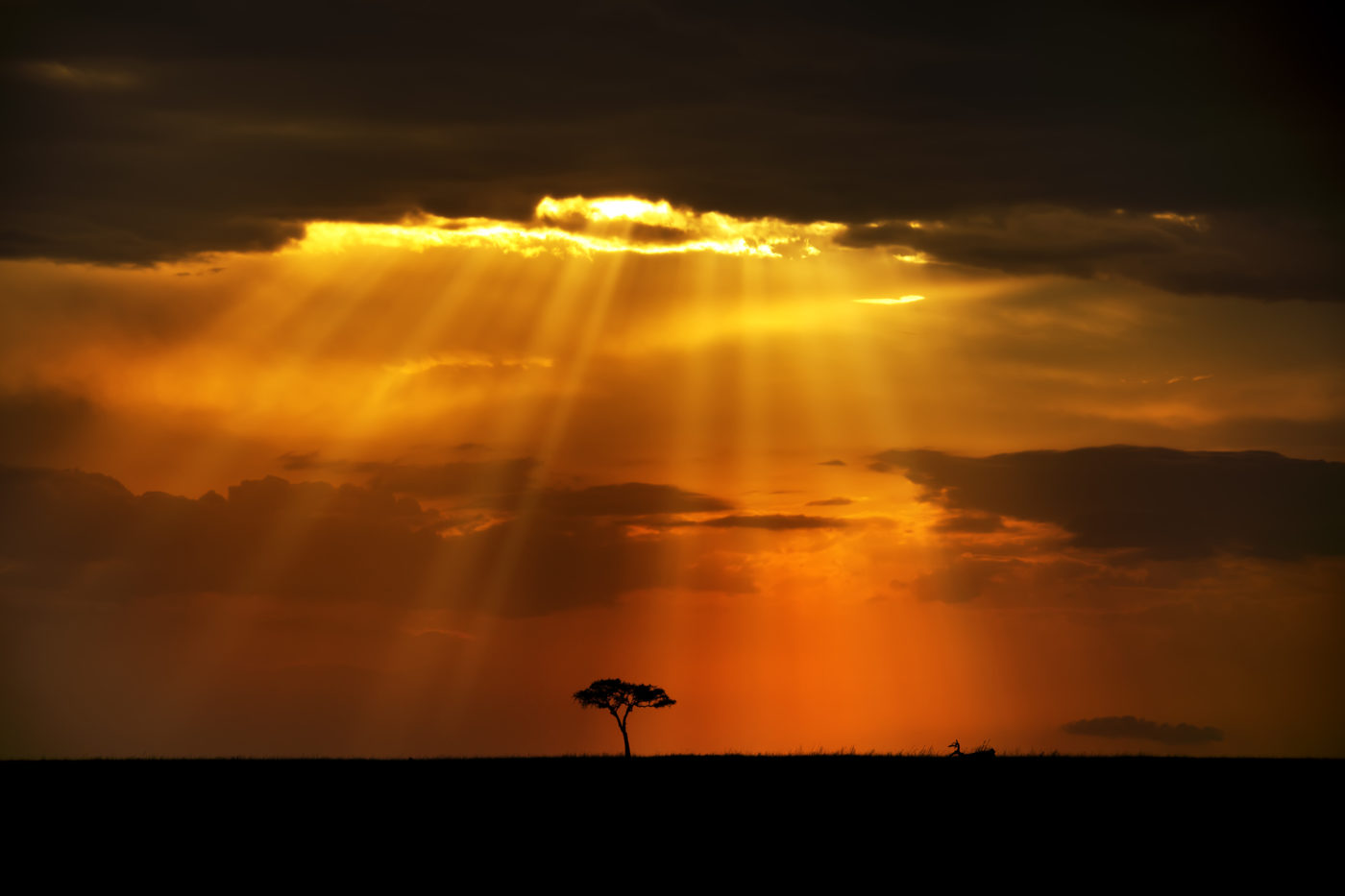 Image for Learning Faithful Faith from the Church in Niger