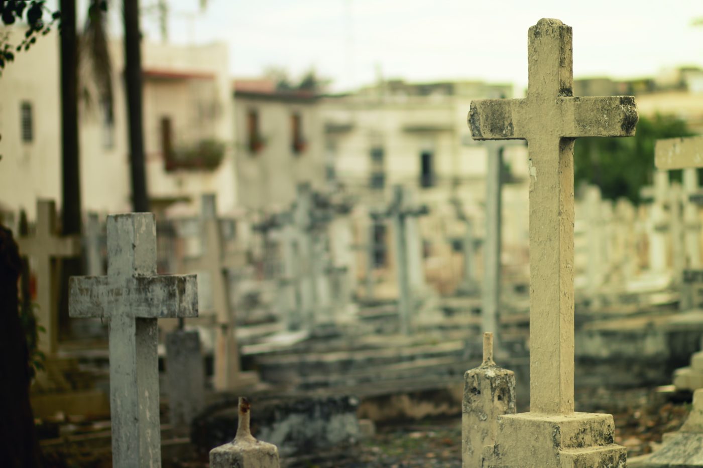 Image for What Does the Bible Say About Death? 10 Truths About Death